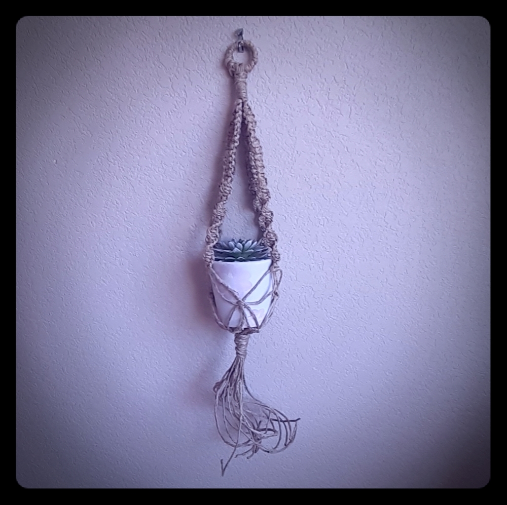 Hemp Macrame plant hanger/ with succulent.